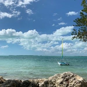 Meet your Posher, Maddie